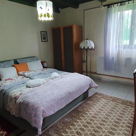 Etno Salas - Etno Ranch - Seosko Turisticko Domacinstvo Villa Palić Buitenkant foto