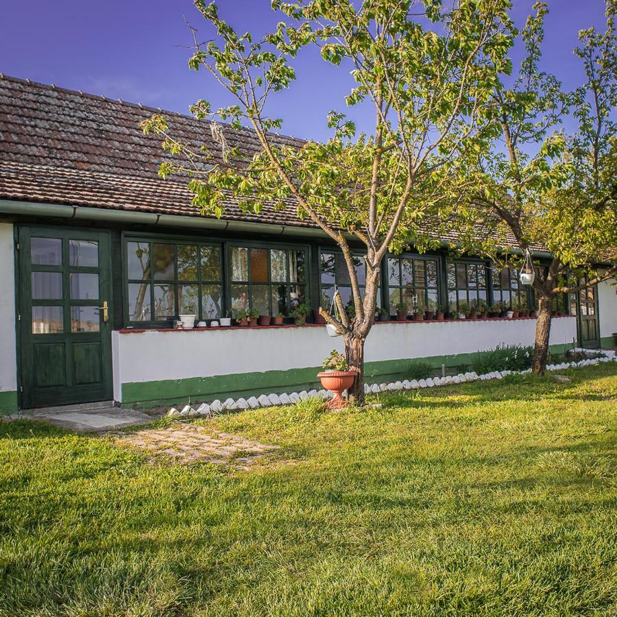 Etno Salas - Etno Ranch - Seosko Turisticko Domacinstvo Villa Palić Buitenkant foto