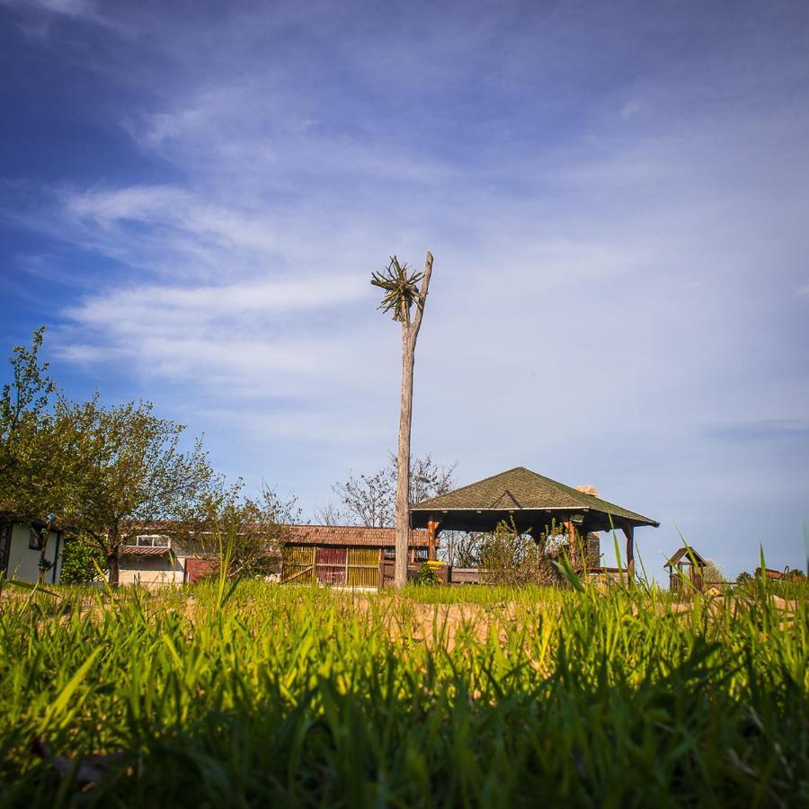 Etno Salas - Etno Ranch - Seosko Turisticko Domacinstvo Villa Palić Buitenkant foto
