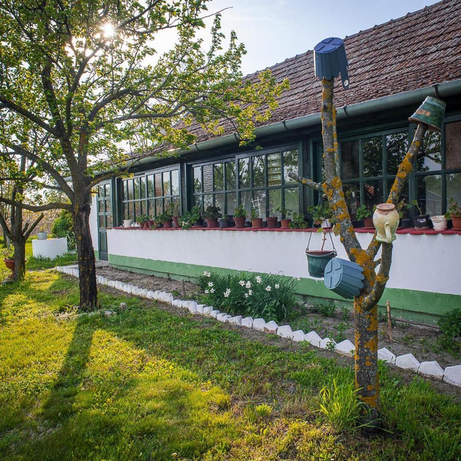 Etno Salas - Etno Ranch - Seosko Turisticko Domacinstvo Villa Palić Buitenkant foto