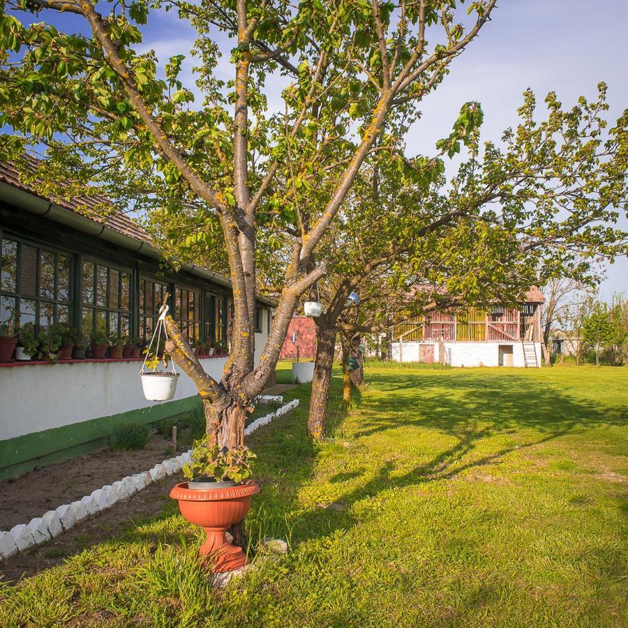 Etno Salas - Etno Ranch - Seosko Turisticko Domacinstvo Villa Palić Buitenkant foto