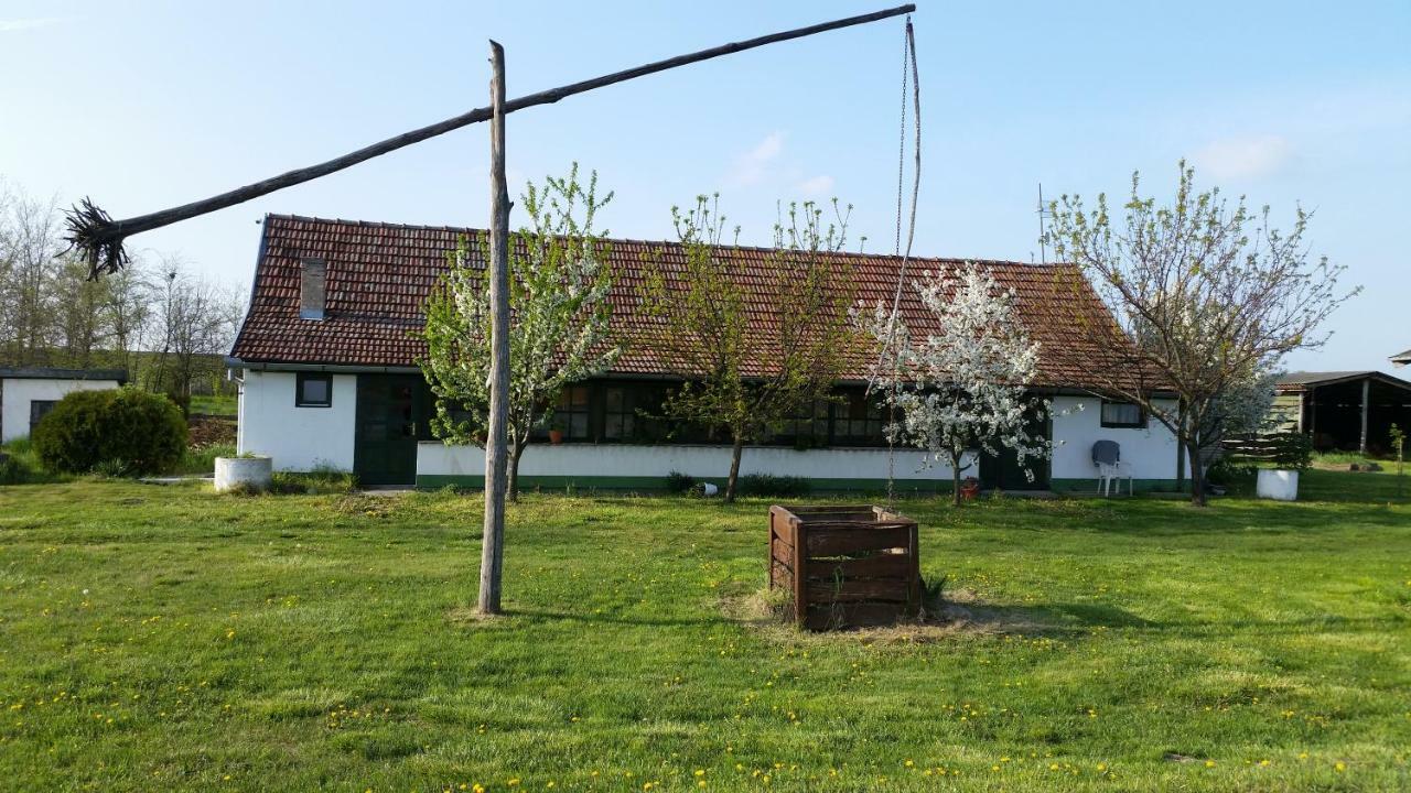 Etno Salas - Etno Ranch - Seosko Turisticko Domacinstvo Villa Palić Buitenkant foto